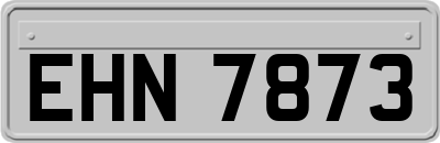 EHN7873
