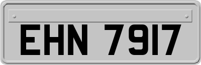 EHN7917