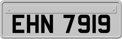 EHN7919
