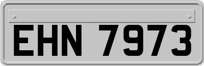 EHN7973