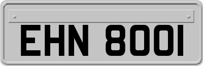 EHN8001