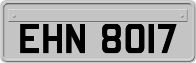 EHN8017