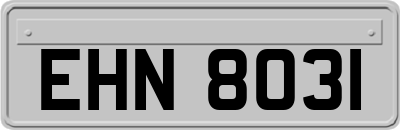 EHN8031