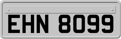 EHN8099