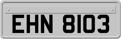 EHN8103