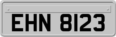 EHN8123