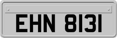 EHN8131