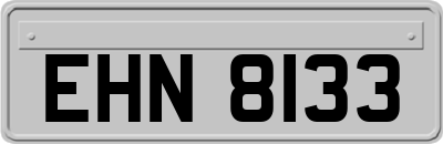 EHN8133