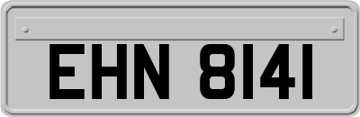 EHN8141