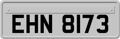 EHN8173