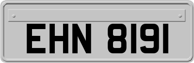 EHN8191