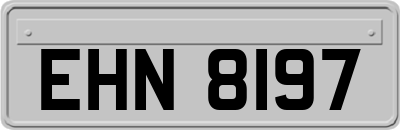 EHN8197