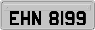 EHN8199