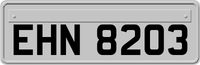 EHN8203