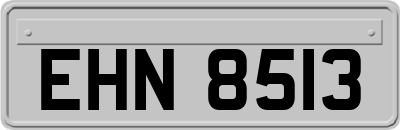 EHN8513