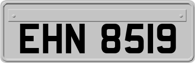 EHN8519
