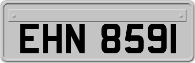 EHN8591