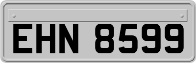 EHN8599