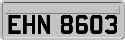 EHN8603