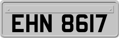 EHN8617