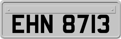 EHN8713