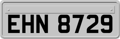 EHN8729