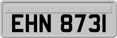 EHN8731