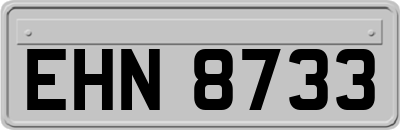 EHN8733