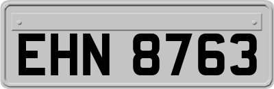 EHN8763