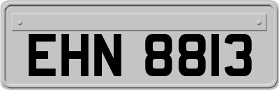 EHN8813