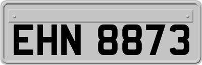 EHN8873