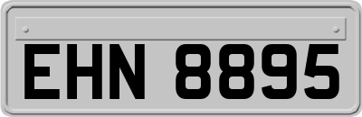 EHN8895