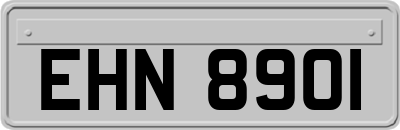 EHN8901