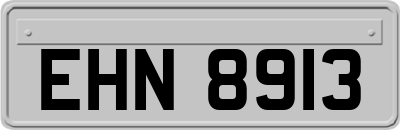 EHN8913