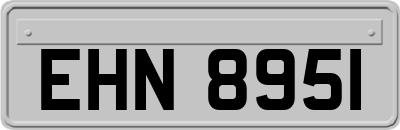 EHN8951