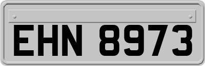 EHN8973