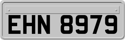 EHN8979