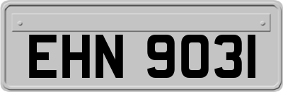 EHN9031