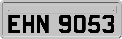 EHN9053