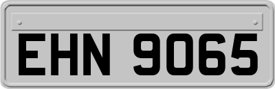 EHN9065