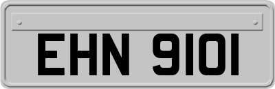 EHN9101