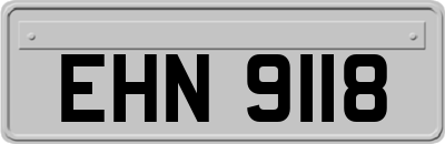 EHN9118