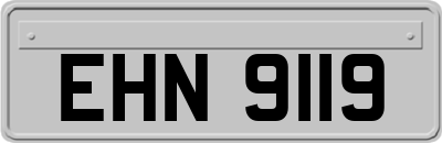 EHN9119