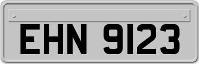 EHN9123