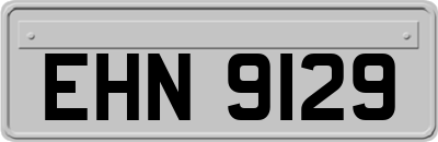 EHN9129