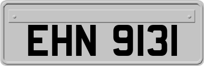 EHN9131
