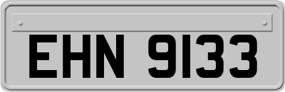 EHN9133
