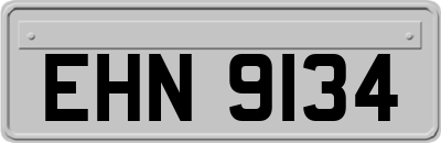 EHN9134