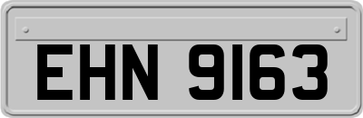 EHN9163