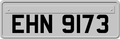 EHN9173